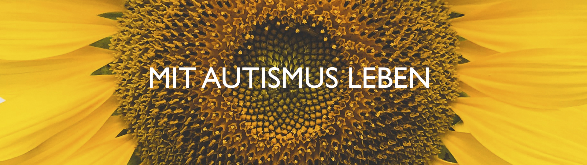 Kompetenz Autismus | Therapie- und Beratungsstelle | Vallendar